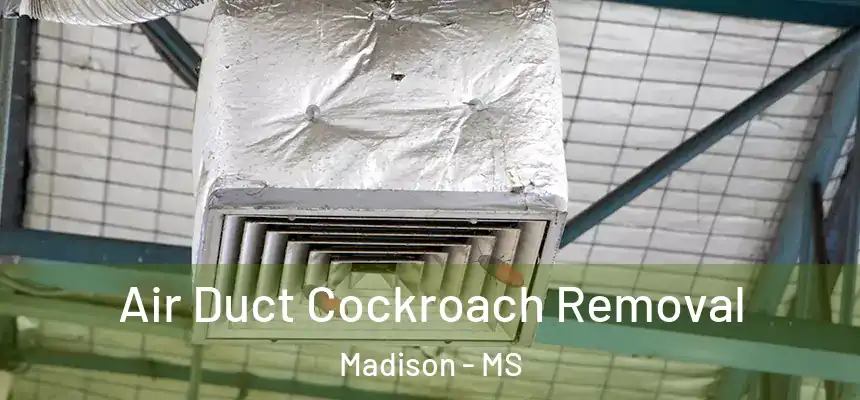  Air Duct Cockroach Removal Madison - MS