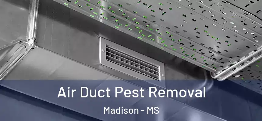  Air Duct Pest Removal Madison - MS