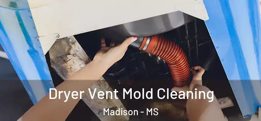 Dryer Vent Mold Cleaning Madison - MS