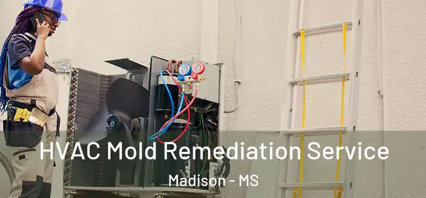  HVAC Mold Remediation Service Madison - MS