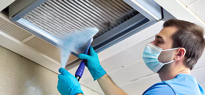 Proactive Dryer Vent & Auxiliary Duct Pollen Cleanup in Madison, MS