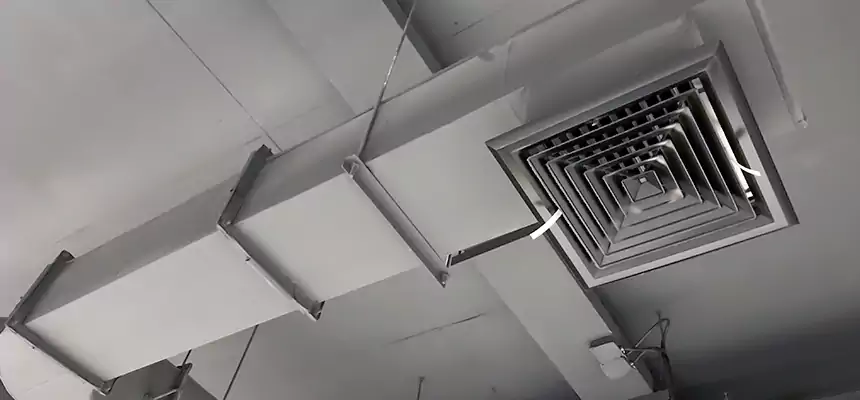 Our Pest Removal From Ducts Services in Madison, MS