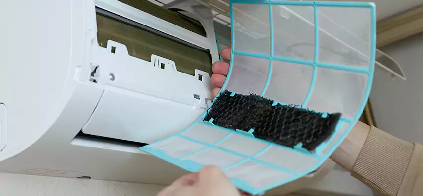 Gentle Ductwork Odor-Control Pet Dander Duct Cleaning in Madison, MS