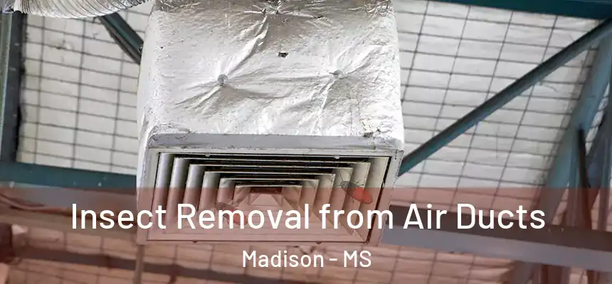  Insect Removal from Air Ducts Madison - MS