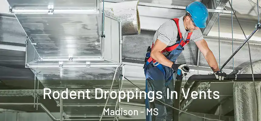  Rodent Droppings In Vents Madison - MS