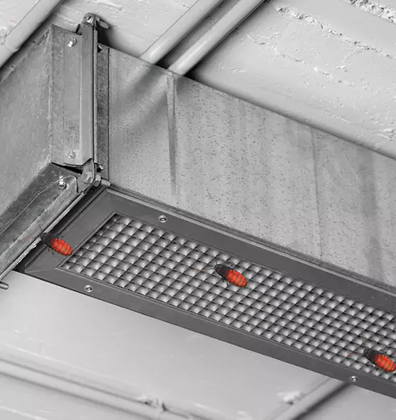 About Air Duct Cockroach Removal in Madison, MS