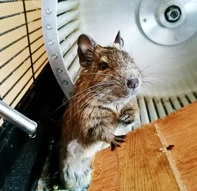 Why Homeowners & Businesses Trust Us Madison, MS