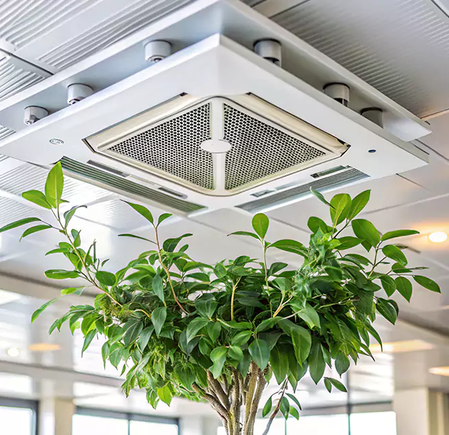 Why Homeowners & Businesses Trust Us in Madison, MS